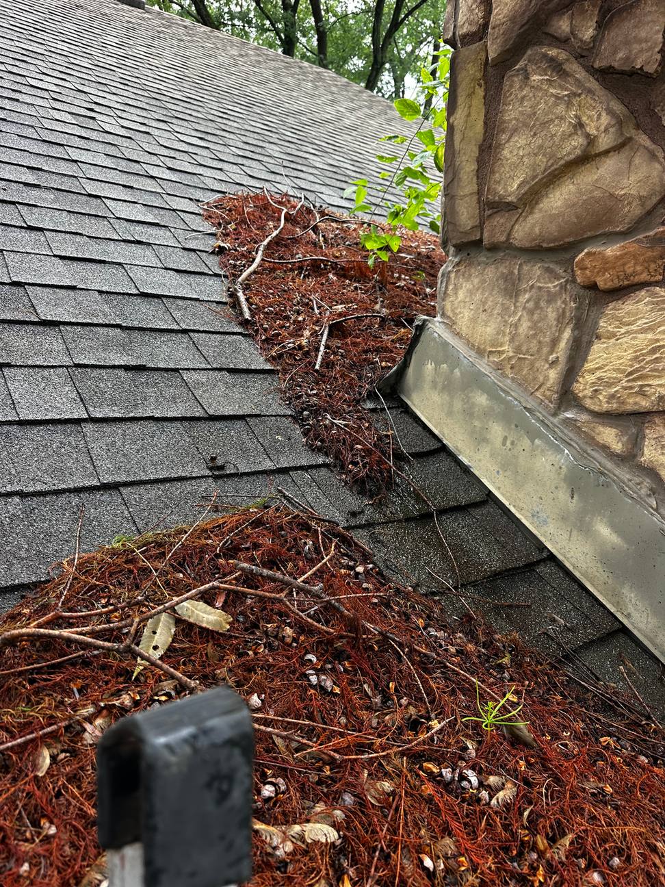 Pine needles packed in a roof valley and gutter, Derby, KS