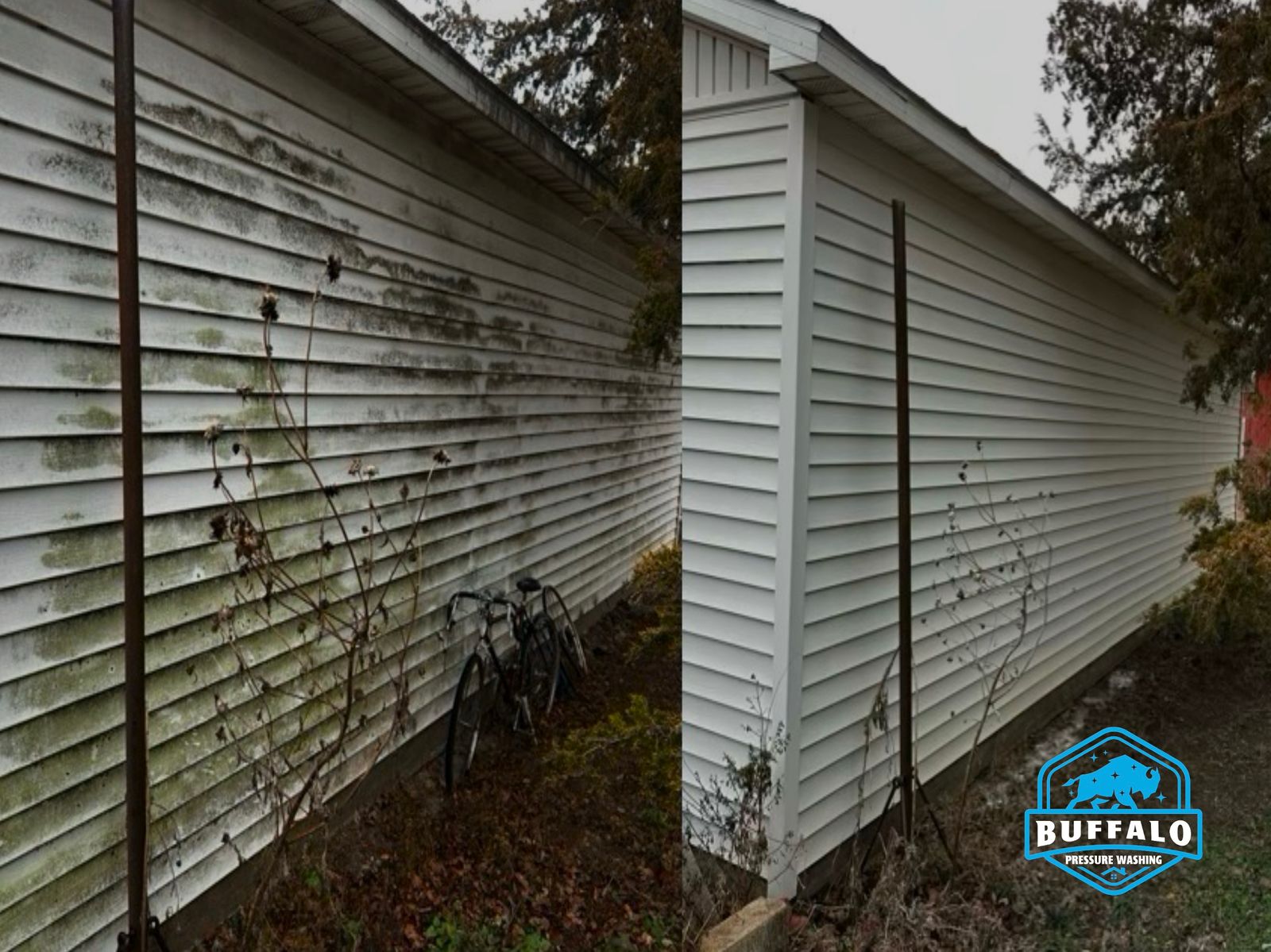 Moss-covered vinyl siding before and after house washing