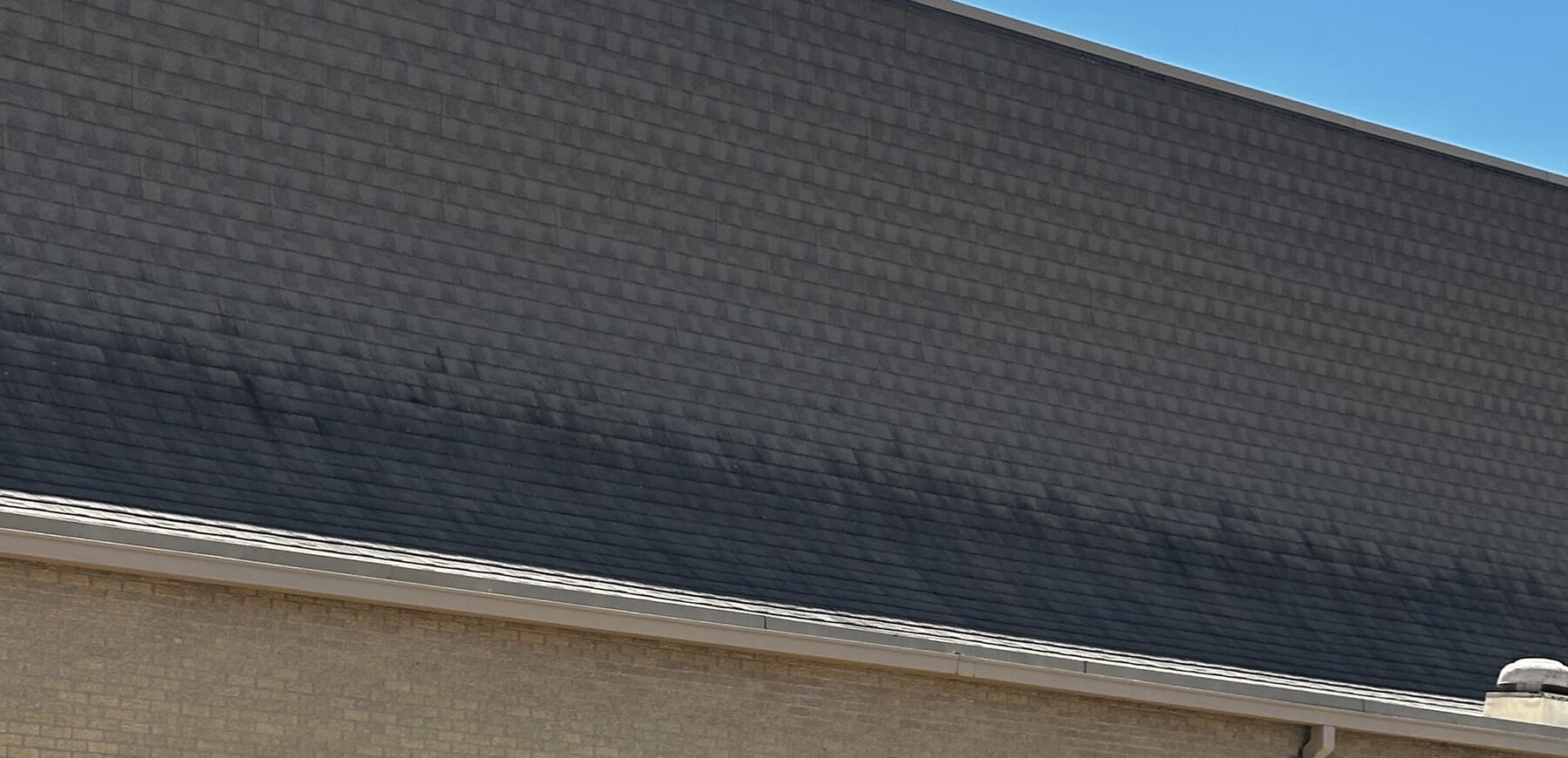 Close view of dense black algae growth on asphalt shingles