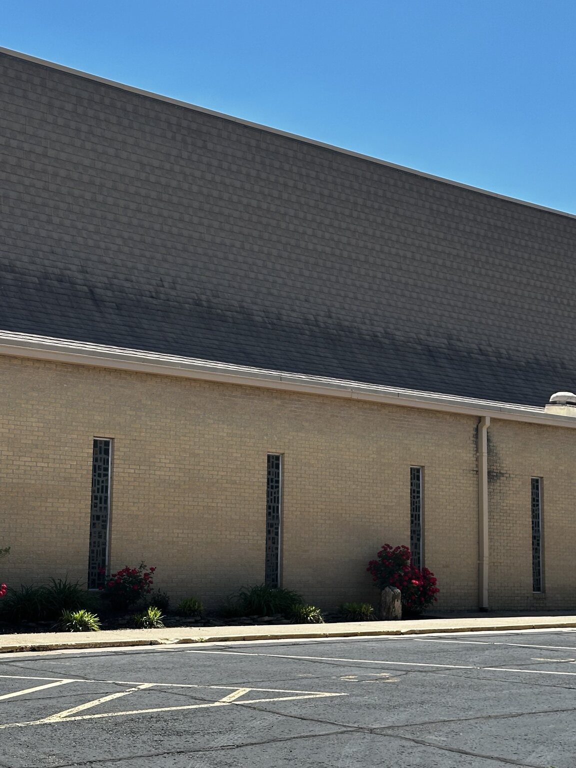 Black algae covering the north-facing church roof in El Dorado