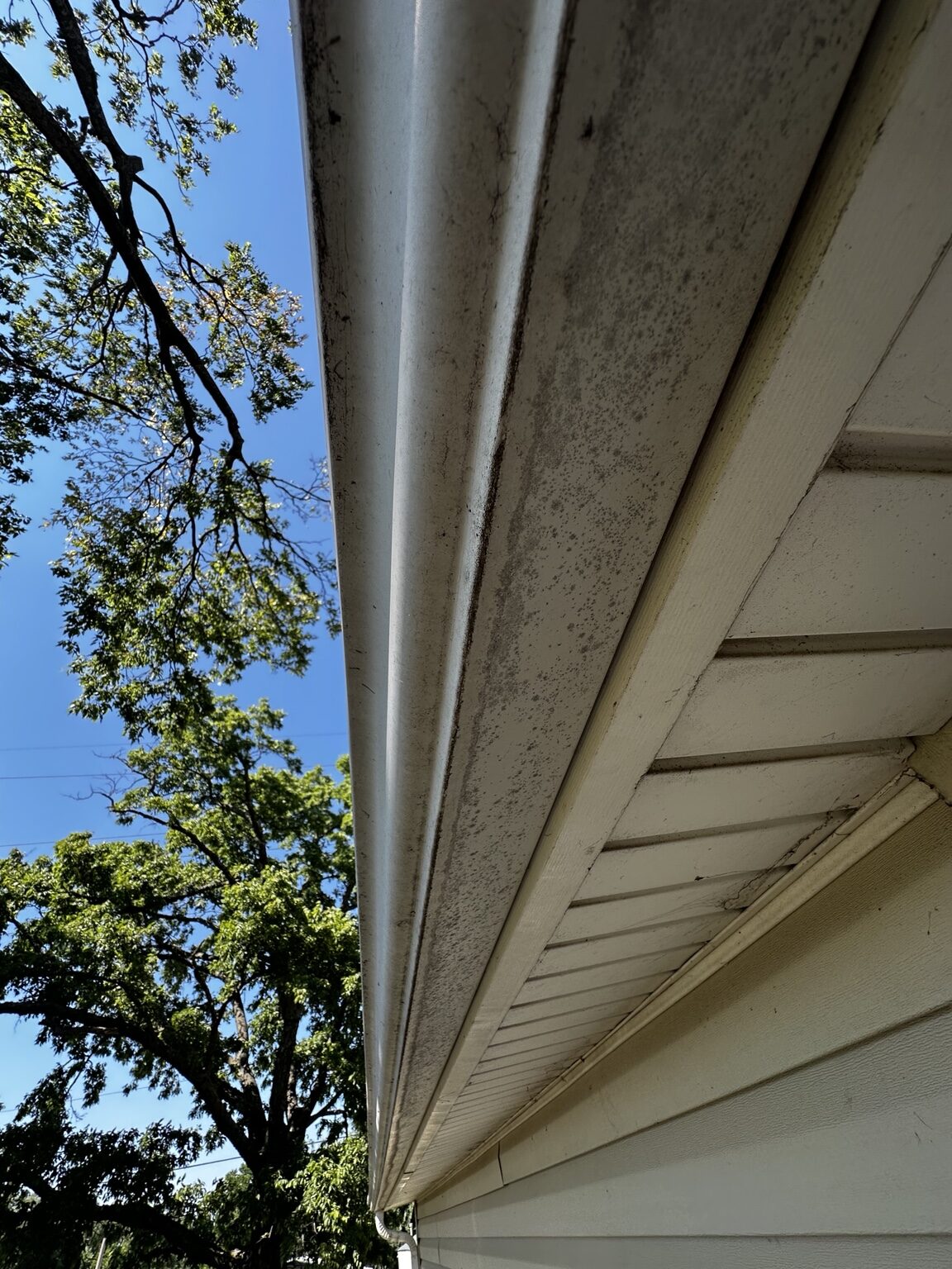 Dark organic growth along gutter and soffit before washing