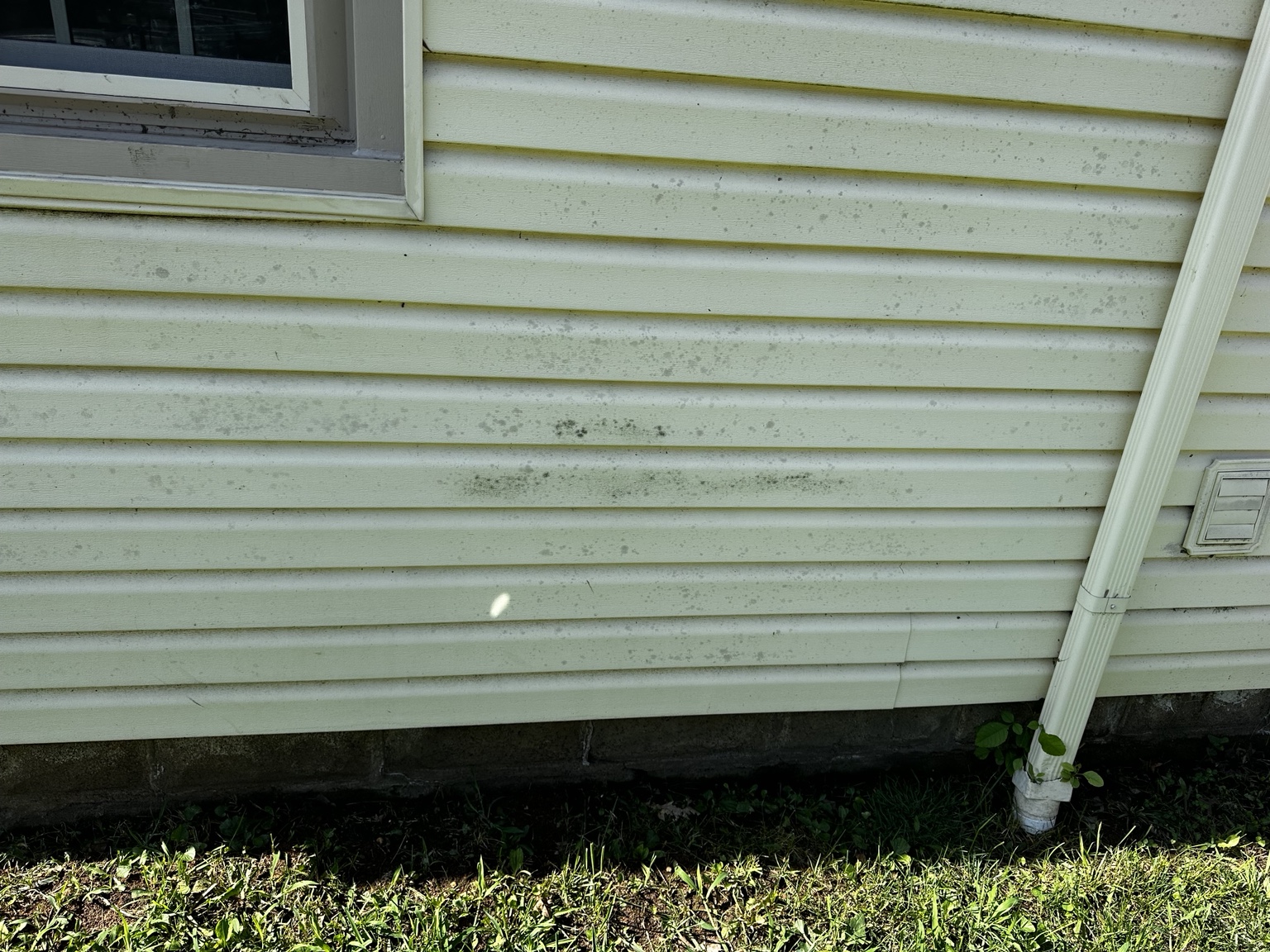 Organic spotting across lower vinyl siding before cleaning