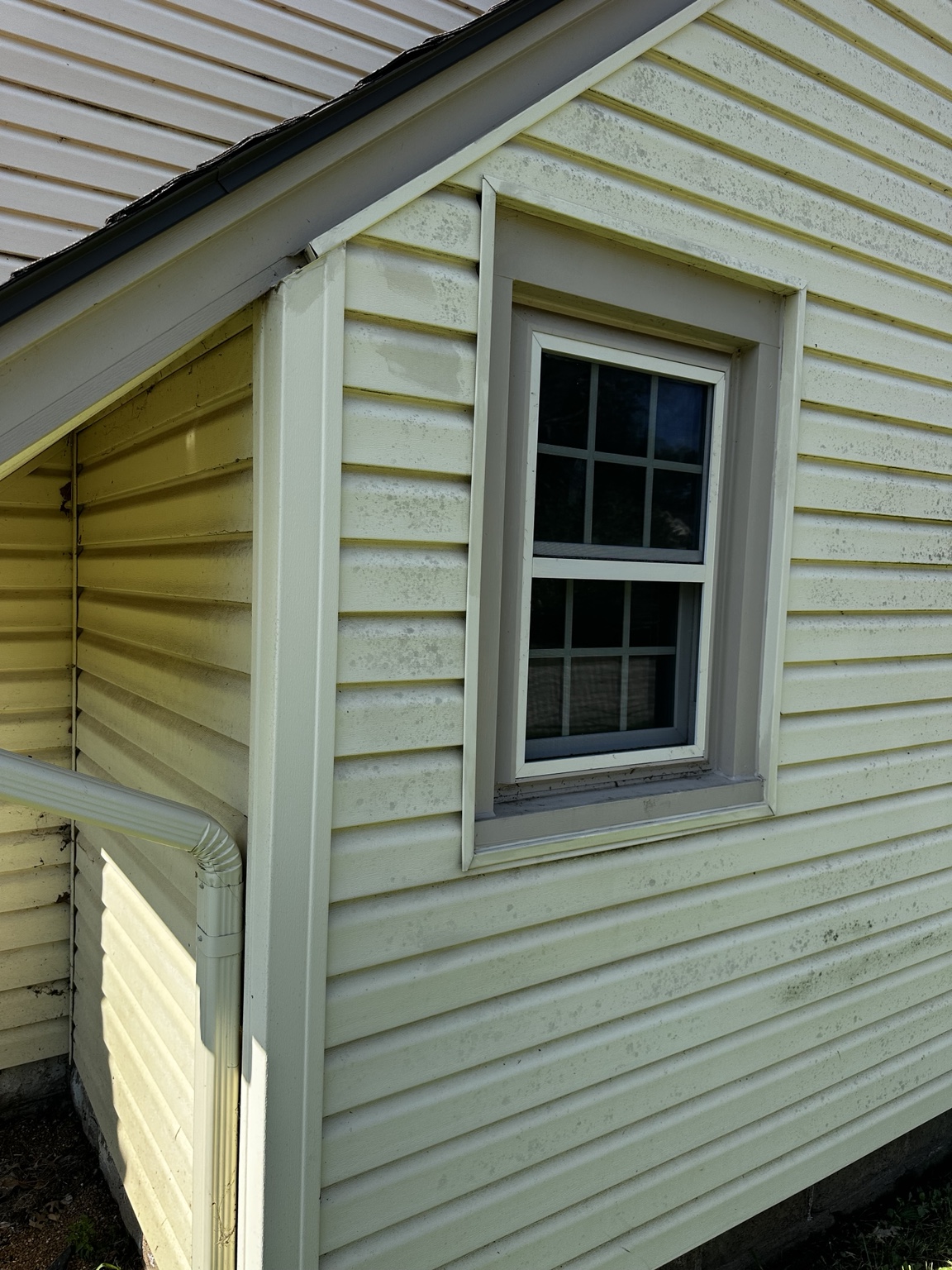 Algae buildup on vinyl siding around a window before house washing in El Dorado, Kansas